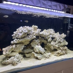 海水ガラス水槽セット90x45x45