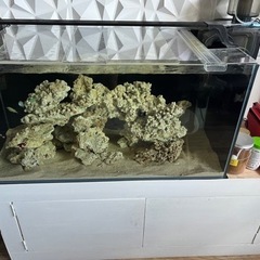 海水ガラス水槽セット90x45x45