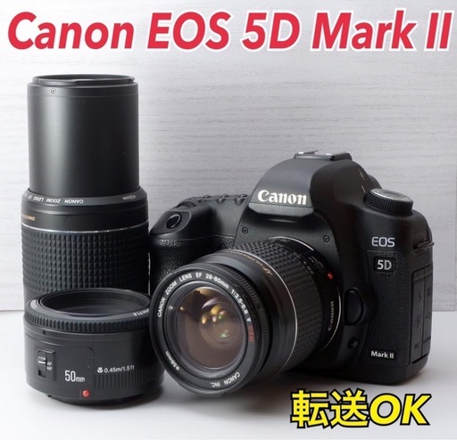 ★Canon EOS 5D Mark Ⅱ人気フルサイズ機●スマホ転送  1ヶ月動作補償あり！ 安心のゆうパック代引き発送！ 送料、代引き手数料無料！