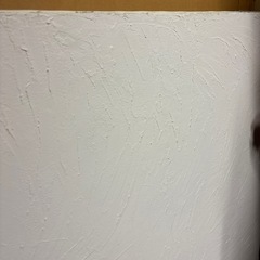 ホワイト　張りキャンバス　F100 桐木枠　2枚パック