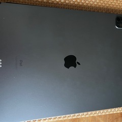 iPad Pro 12.9【第5世代 cellular】
