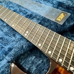 ESP E2 M2 Seven Koa Top Multiscale