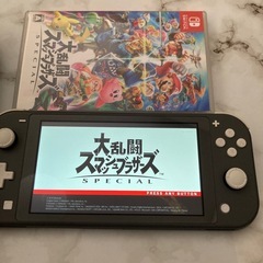 美品スイッチライト➕ケース➕大乱闘スマッシュブラザーズ