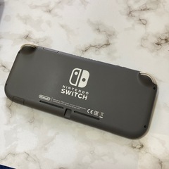 美品スイッチライト➕ケース➕大乱闘スマッシュブラザーズ