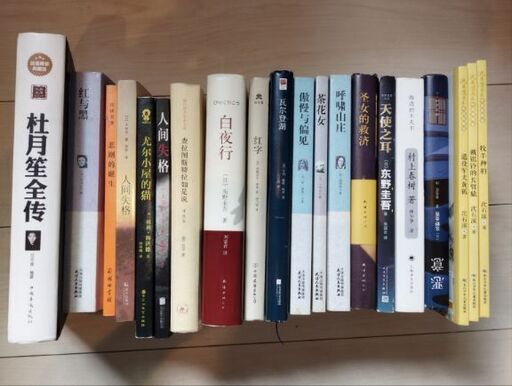 中国語の本 26冊 中文书籍