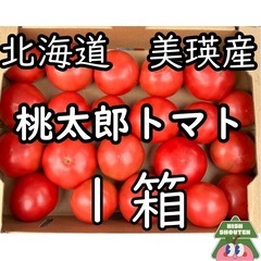 北海道美瑛産 甘くてジューシー！訳あり桃太郎トマト 1箱(配達希...