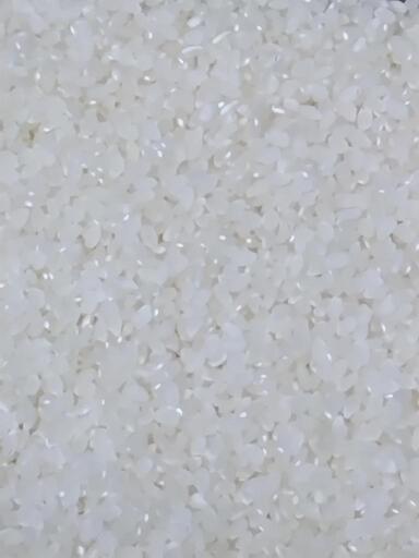 【玄米】令和5年度産コシヒカリ30kg