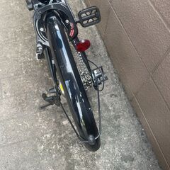 ペルテック 電動アシスト自転車 TDN-206L 20インチ 折り畳み電動アシスト自転車 外装6段変速 簡易組立必要品