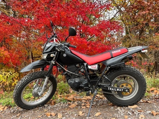 YAMAHA　ヤマハ　TW200