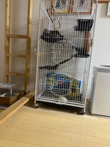 ゲージ
