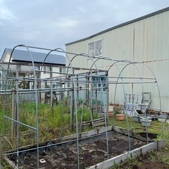 ビニールハウス骨組 受け渡し予定者決定