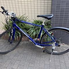 GIANT ESCAPEジァイアント エスケープR3 2023年 Mサイズ