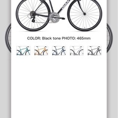 ESCAPE R3 2019  GIANTロードバイク