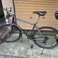 ESCAPE R3 2019  GIANTロードバイク