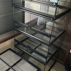 爬虫類 飼育ケージ GEX エキゾテラ　グラステラリウム6030 1つ1万円