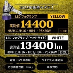 VELENO MORTALE ヴェレーノ モルターレ  H8 H11 H16