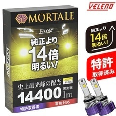 VELENO MORTALE ヴェレーノ モルターレ H8 H11 H16