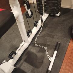 IROTEC (アイロテック) NEWマルチホームジムDX１５０ポンドタイプV2