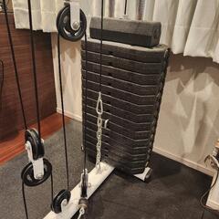 IROTEC (アイロテック) NEWマルチホームジムDX１５０ポンドタイプV2