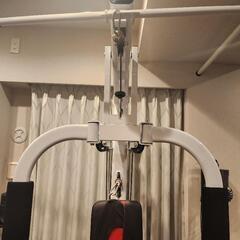 IROTEC (アイロテック) NEWマルチホームジムDX１５０ポンドタイプV2