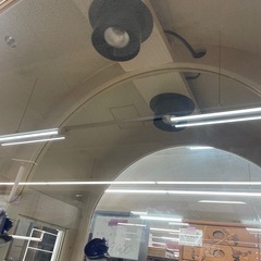 アメリカ製 キュリオケース アンティーク ホワイト