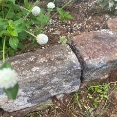 花壇などに使用する石