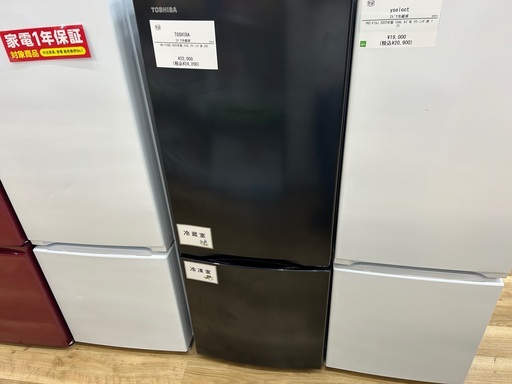 【1年保証】TOSHIBAの2ドア冷蔵庫入荷しました！！
