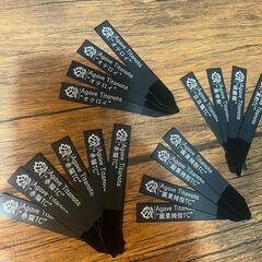 アガベ チタノタ 覇王龍 変異株