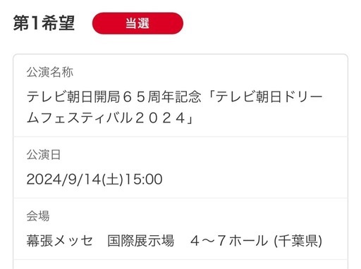 ライブ　チケット　２枚　フェスティバル