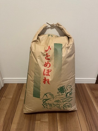 【受け渡し決定しました】令和5年 登米市産 ひとめぼれ
