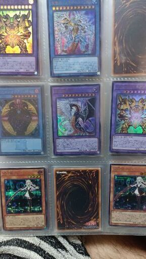 遊戯王ファイルセット