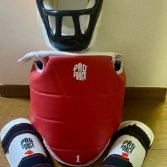 ほぼ新品)小学生におすすめ、空手防具セット(代理出品)