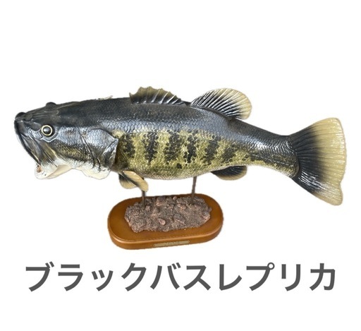 ブラックバス 置物  レプリカ 全長約50cm