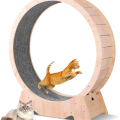 キャットホイールSSサイズ