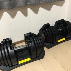 可変式ダンベル40kg×2(Amazon定価36,980円)