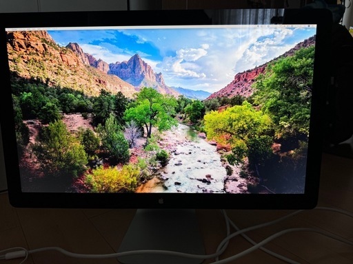 Apple Thunderbolt Display 美品