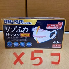 【ネット決済】リブふわWマスク 個別包装 40枚×5箱＝合計200枚