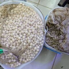 オーバーフロー水槽900×600×600、濾過槽、ポンプセット