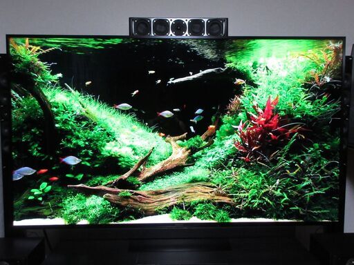 ♪　75インチ Panasonic VIERA ４K 液晶TV TH-75HX900 75v型 2021年製 上位機種 倍速 LEDバックライト 美品 　検　65v型 77v型 85v型　♪