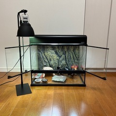 値下げ】GEX グラステラリウム6045/コンパクトトップ60/ライトドーム