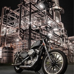 【オンライン決済・配送可】Harley-Davidson XL８...