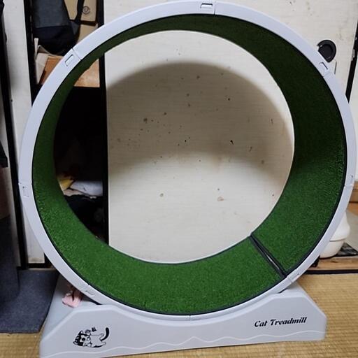 キャットホイール