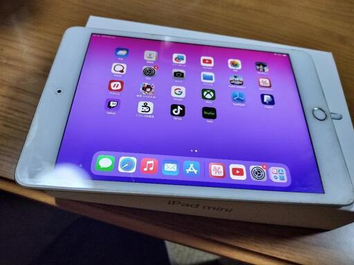 iPad mini5 256GB WiFiモデル