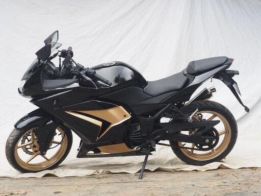 ニンジャ 250R NINJA250R 整備済オリジナルカラー