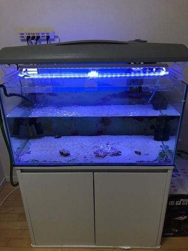 プレココーポレーション製　90 45 45水槽とキャビネット白