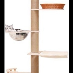 キャットタワー 突っ張り 木製 キャットタワー宇宙船 バネ保護　猫 Amazon | ONEKOSAMA 木製 キャットタワー 突っ張り 極太支柱 猫