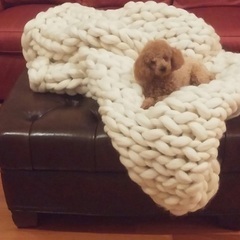 厚いメリノウール毛糸(5.9キロ、2個売る)