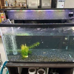 60cm水槽セット