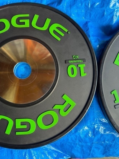 rogue バンパープレート トレーニングプレート 20kgセット ROGUE 20kg