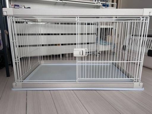犬　ゲージ　白